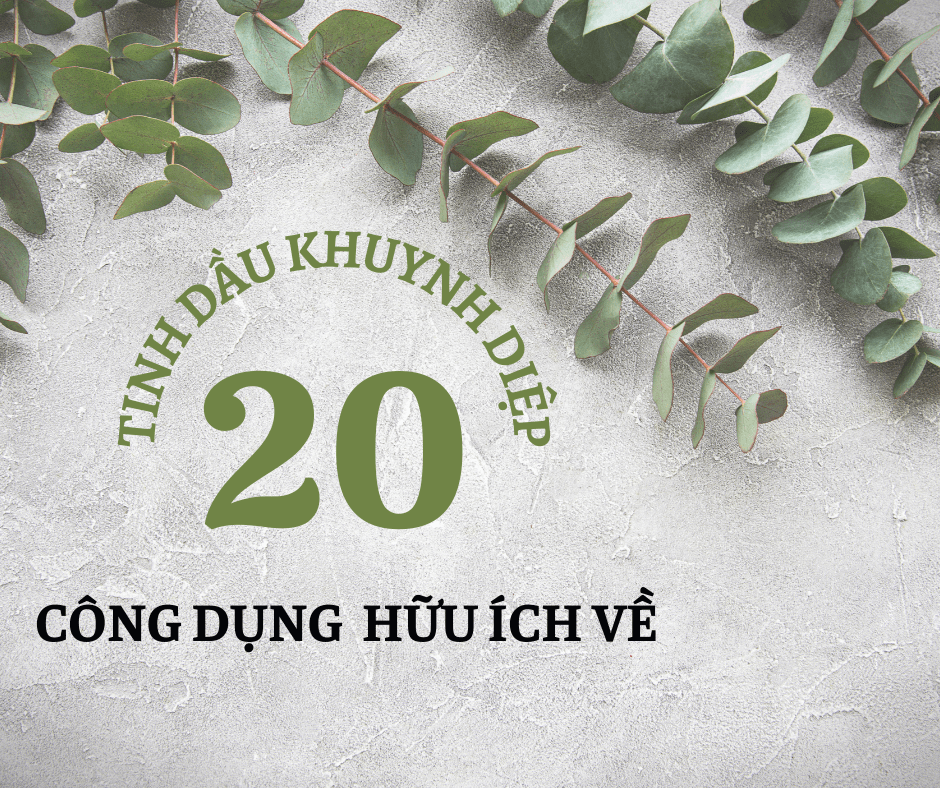 20 CÁCH SỬ DỤNG TINH DẦU KHUYNH DIỆP DỄ DÀNG VÀ HIỆU QUẢ
