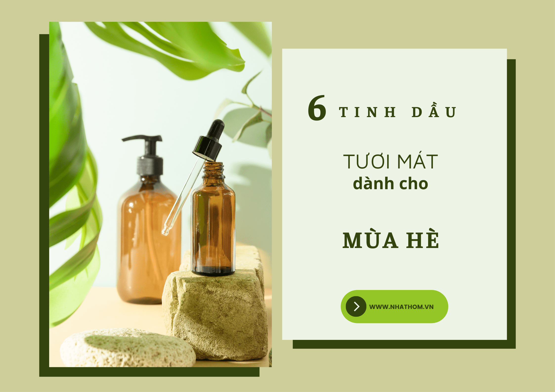 Top 6 Tinh Dầu Thiên Nhiên Dành Cho Mùa Hè Lý Tưởng