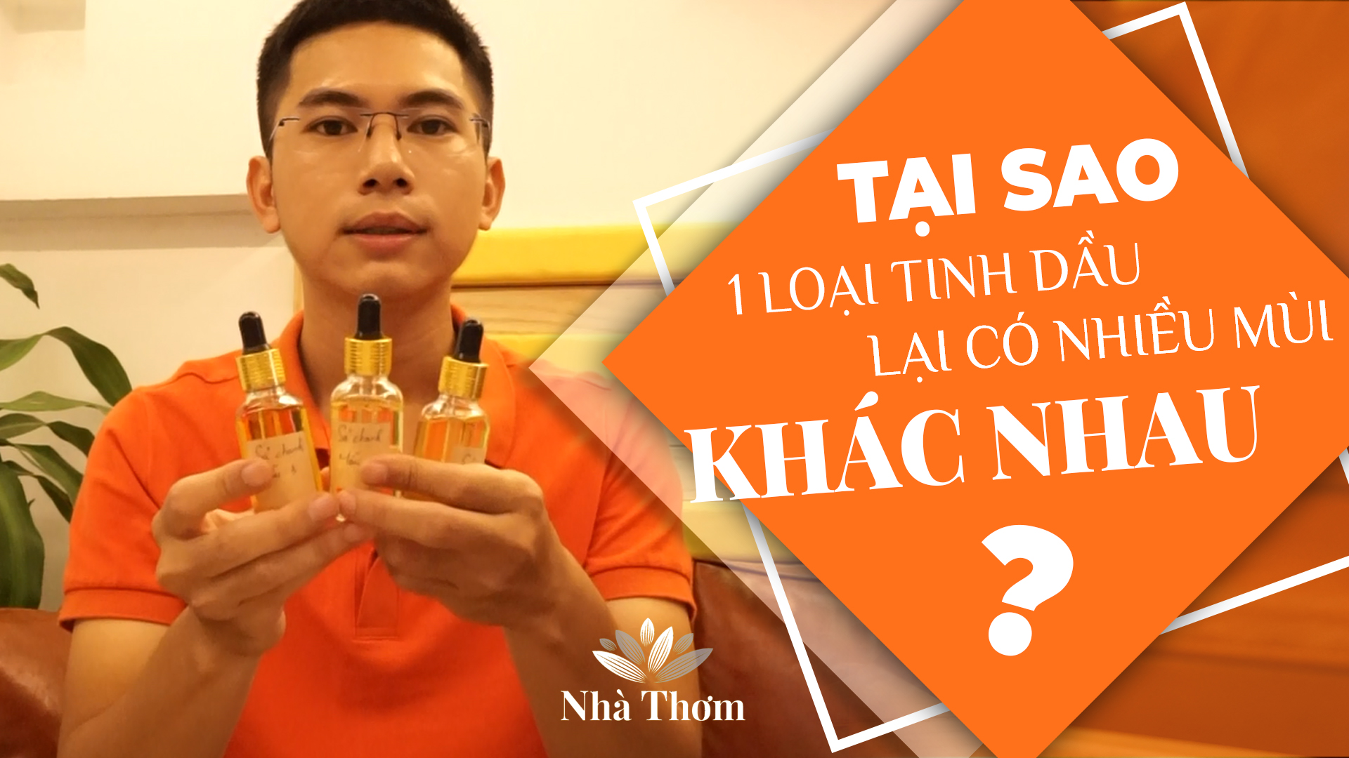 Tại sao tinh dầu thiên nhiên ở mỗi nơi lại có mùi khác nhau?