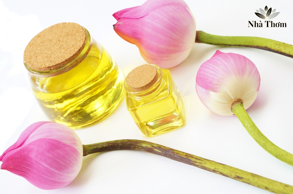Tinh dầu hoa sen có tác dụng gì